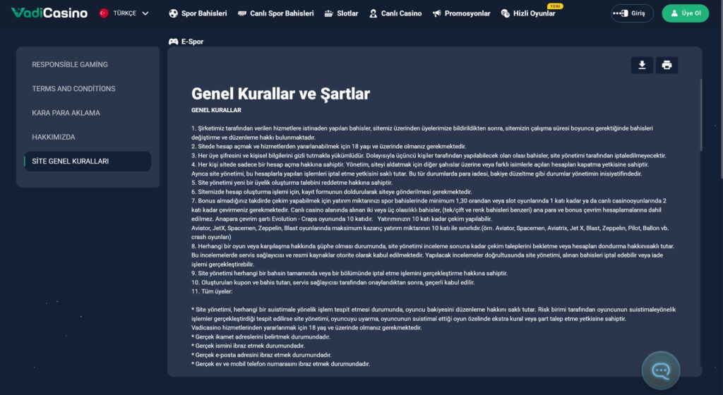 vadicasino bahis kuralları